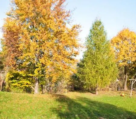 Prázdninový dům Du Kiwi Luttenbach-près-Munster